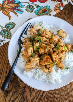 Difference between teriyaki sauce and hoisin sauce recipes - Condiment